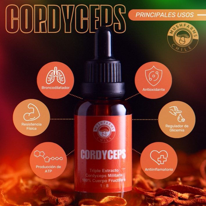 CORDYCEPS 30 ml.